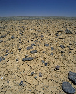 Outback Prints: Cracked earth and rocks in the Outback of South Australia, Australia, Pacific