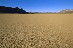 Cracked mud flats