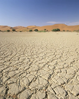 Sossusvlei Prints: Cracked mud flats and sand dunes