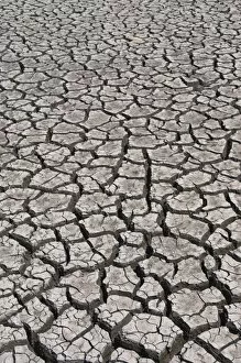 Images Dated 22nd April 2008: Cracked river bed in drought, Mexico, North America