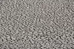 Images Dated 22nd April 2008: Cracked river bed in drought, Mexico, North America
