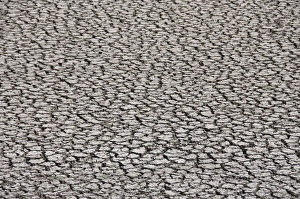 Images Dated 22nd April 2008: Cracked river bed in drought, Mexico, North America
