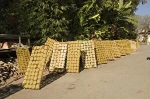 Crackers drying in the sun, Luang Prabang, Laos, Indochina, Southeast Asia, Asia
