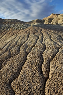 South Dakota Prints: Cracks in eroded badlands, Badlands National Park, South Dakota, United States of America