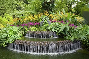 Singapore Prints: Crane sculptures and decorative fountain surrounded
