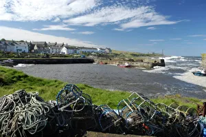 Fishing Prints: Craster harbour, Northumberland, England, United Kingdom, Europe