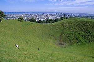 North Island Prints: Crater of Mount Eden with city beyond