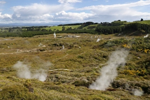 Taupo Prints: Craters of the Moon Thermal Area, Taupo, North Island, New Zealand, Pacific
