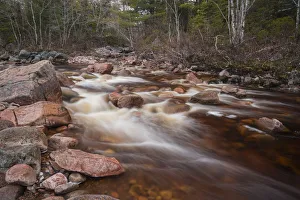Maritime Provinces Prints: Creek flowing near Mary Ann Falls, Cape Breton Highlands National Park, Nova Scotia