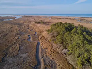 Virginia Prints: A creek at low tide winding through tidal salt marsh with Chesapeake Bay in