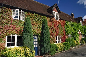 Cottage Prints: Creeper-clad cottages, Hursley, Hampshire, England, United Kingdom, Europe