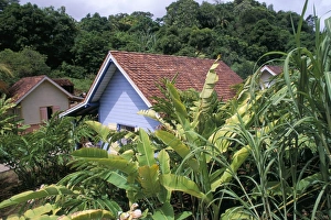 Martinique Prints: Creole houses