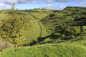 National Nature Reserve Prints: Cressbrook Dale National Nature Reserve in spring