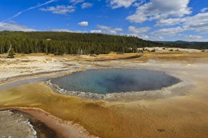 Geyser Prints: Crested Pool; hot spring; Upper Geyser Basin