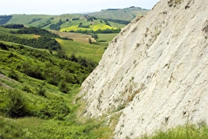 Siena Prints: Crete Senesi area, near Asciano, Siena Province, Siena, Tuscany, Italy, Europe