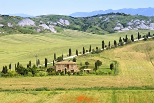Crete Senesi area, near Asciano, Siena Province, Tuscany, Italy, Europe