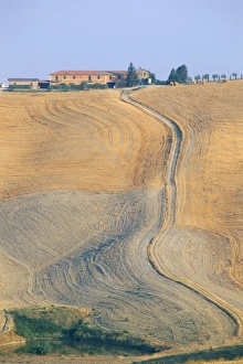 Farm House Prints: Crete Senesi, Siena province, Tuscany, Italy, Europe