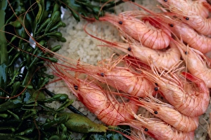 Exhibiting Prints: Crevettes (prawns), Le Bistrot de Bernard, Ars, Ile de Re, Charente Maritime