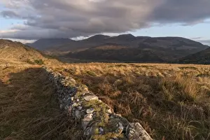 Typically Irish Prints: Crinnagh, The Old Kenmare Road