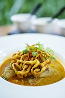 Thai Culture Prints: Crispy noodles and Thai curry, Chiang Mai, Thailand, Southeast Asia, Asia