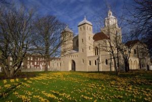 Portsmouth Prints: Crocuses outside the Cathedral, Portsmouth, Hampshire, England, United Kingdom, Europe