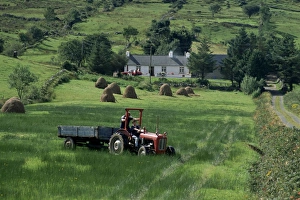County Donegal Prints: Croft with hay cocks and tractor