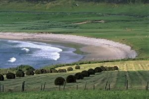 Fetlar Prints: Croft near Tresta