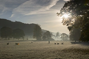 Cromford, Matlock, Peak District National Park, Derbyshire, England, United Kingdom