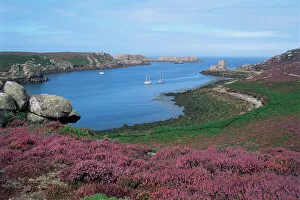 Scilly Isles Prints: Cromwells Castle, Tresco, Isles of Scilly, United Kingdom, Europe