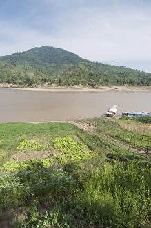 Crops on side of Mekong River at Gom Dturn, a Lao Luong Village in the Golden Triangle area of Laos