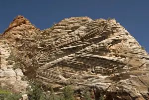 Zion Prints: Cross-bedded sandstone formations (ancient sand dunes)