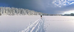 Images Dated 7th August 2008: Cross country skiing
