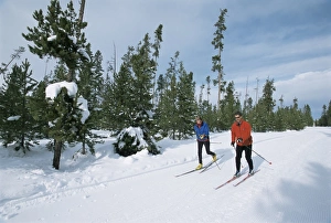 Entertainment Prints: Cross country skiing at Rendevous