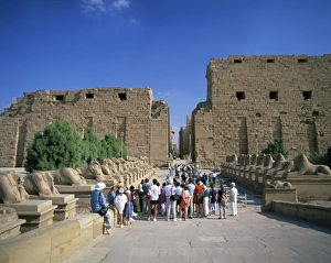 Crowd of tourists on the Processional Avenue, lined with ram-headed sphinxes