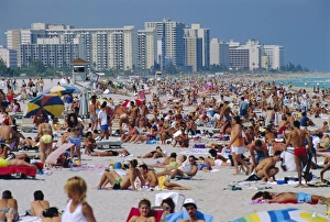 Miami Beach Prints: Crowded beach
