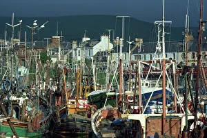 Strathclyde Prints: Crowded harbour at Girvan