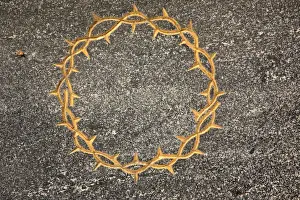 Milan Prints: Crown of thorns sculpted on a grave, Milano monumental cemetery, Milan, Lombady, Italy