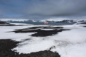 Images Dated 2nd December 2008: Cruise ship anchoring in the volcanic crater of Deception Island, South Shetland Islands
