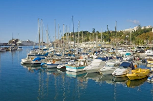 Funchal Prints: Cruise ships and yachts in the harbour at Funchal, Madeira, Portugal, Atlantic, Europe