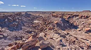 Deserts Prints: The crumbling cliffs of a mesa near Hamilili Point on the south end of Petrified Forest National Park