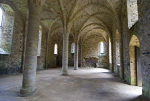 Columns Prints: Crypt, ruins of Battle Abbey, Battle, Sussex, England, United Kingdom, Europe