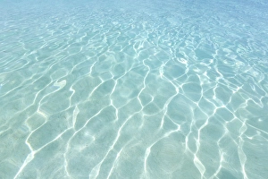Backgrounds Prints: Crystal clear sea, Coco Palm resort, Dhuni Kolhu, Baa Atoll, Republic of Maldives