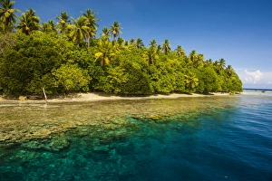 Crystal clear water and an islet in the Ant Atoll, Pohnpei, Micronesia, Pacific