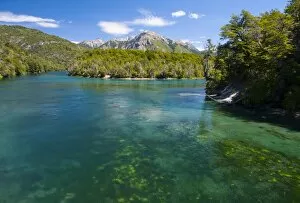 Images Dated 17th December 2008: Crystal clear water in the Los Alerces National Park, Chubut, Patagonia, Argentina, South America