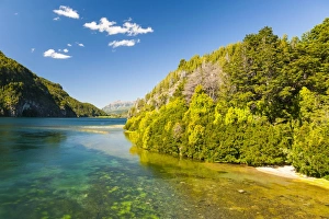 Images Dated 17th December 2008: Crystal clear water in the Los Alerces National Park, Chubut, Patagonia, Argentina, South America