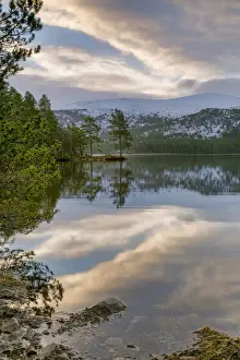 Crystal clear water and pine trees reflected in Lochan Eilein, The Cairngorms, Scotland