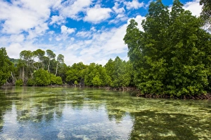 Crystal clear water in the Utwe lagoon, UNESCO Biosphere Reserve, Kosrae, Federated
