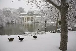 Images Dated 9th January 2009: Crystal palace in the snow, Retiro Park, Madrid, Spain, Europe