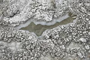 Images Dated 7th October 2009: Crystallized minerals at the Artemesia Geyser Pool, Yellowstone National Park