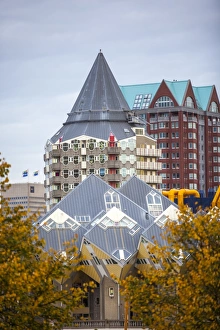 Rotterdam Prints: Cubic Houses (Kubuswoningen) designed by Piet Blom
